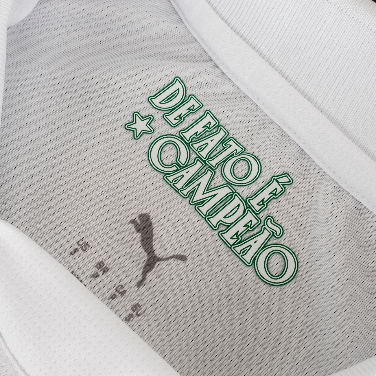 Camisa do Palmeiras II 25 Torcedor