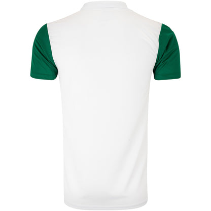 Camisa do Palmeiras II 25  Torcedor