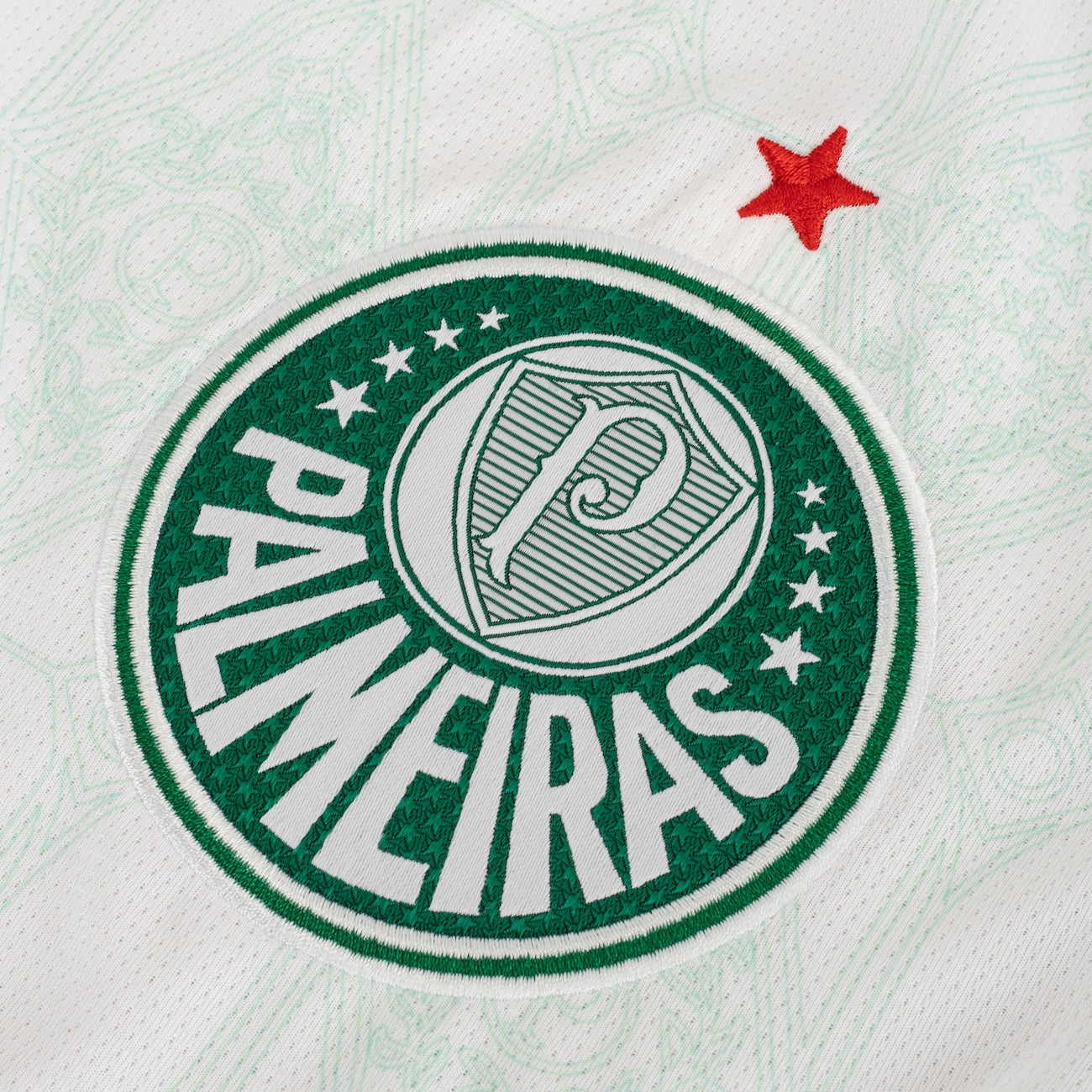 Camisa do Palmeiras II 25  Torcedor