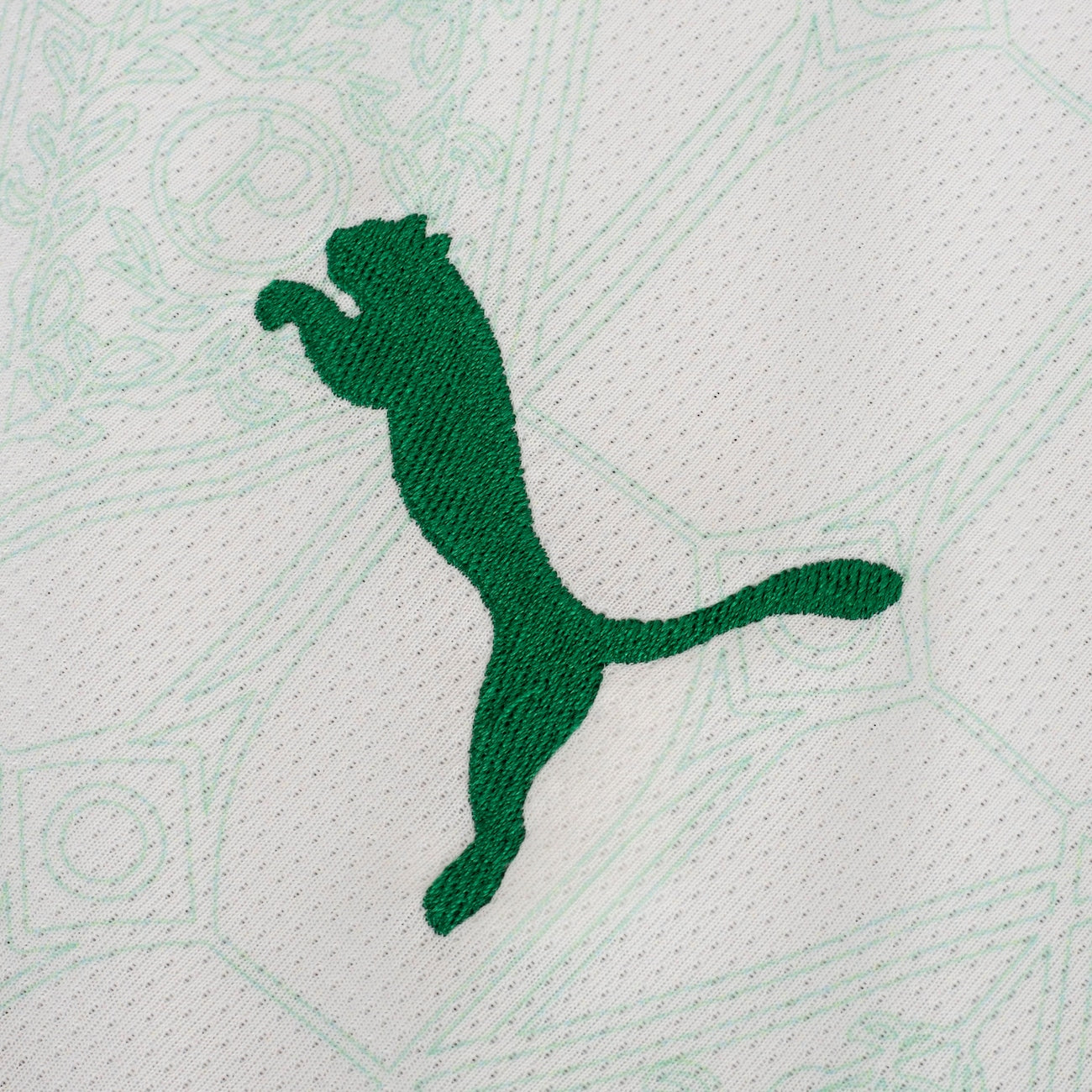 Camisa do Palmeiras II 25  Torcedor